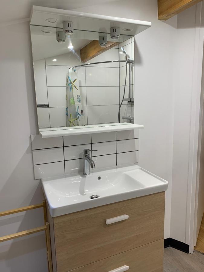 L Isle Jourdain Appartement Entier Recent Et Tout Equipe Proximite Du Centre LʼIsle-Jourdain Exteriör bild